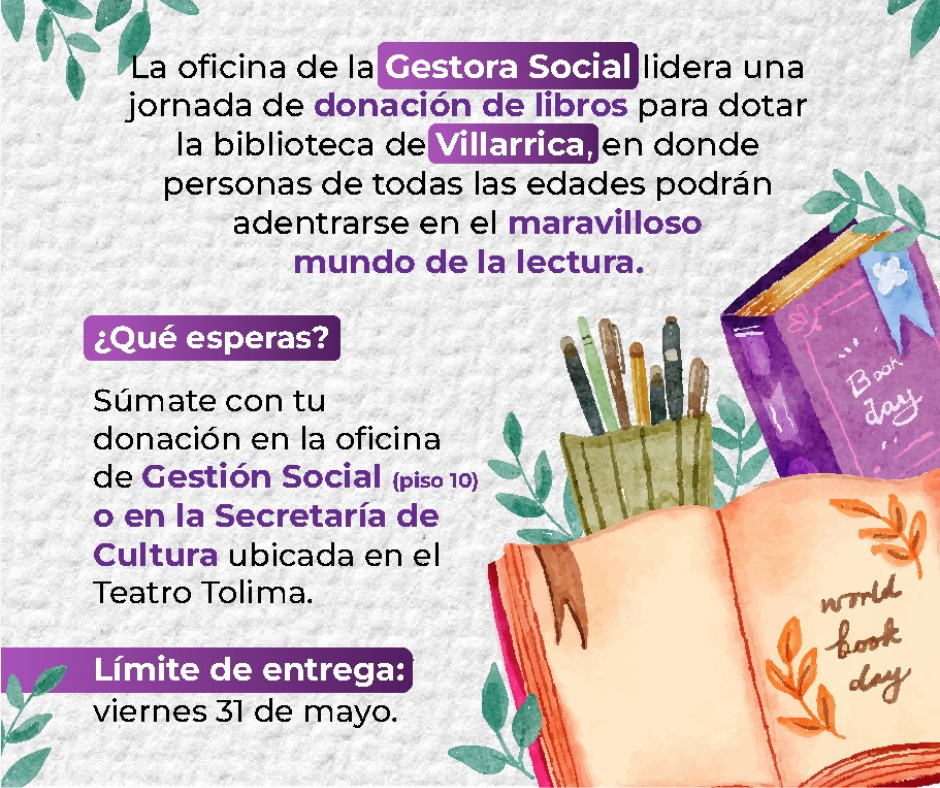 Donatón de libros para biblioteca de Villarrica