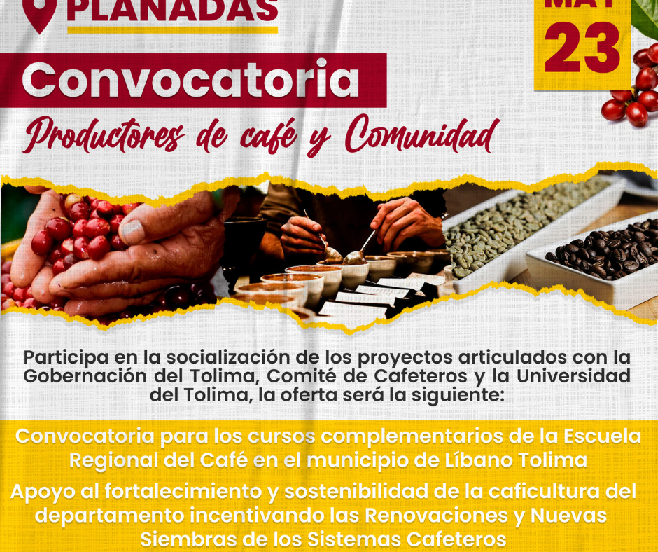 Planadas se sigue consolidando como el mayor productor de café en el Tolima